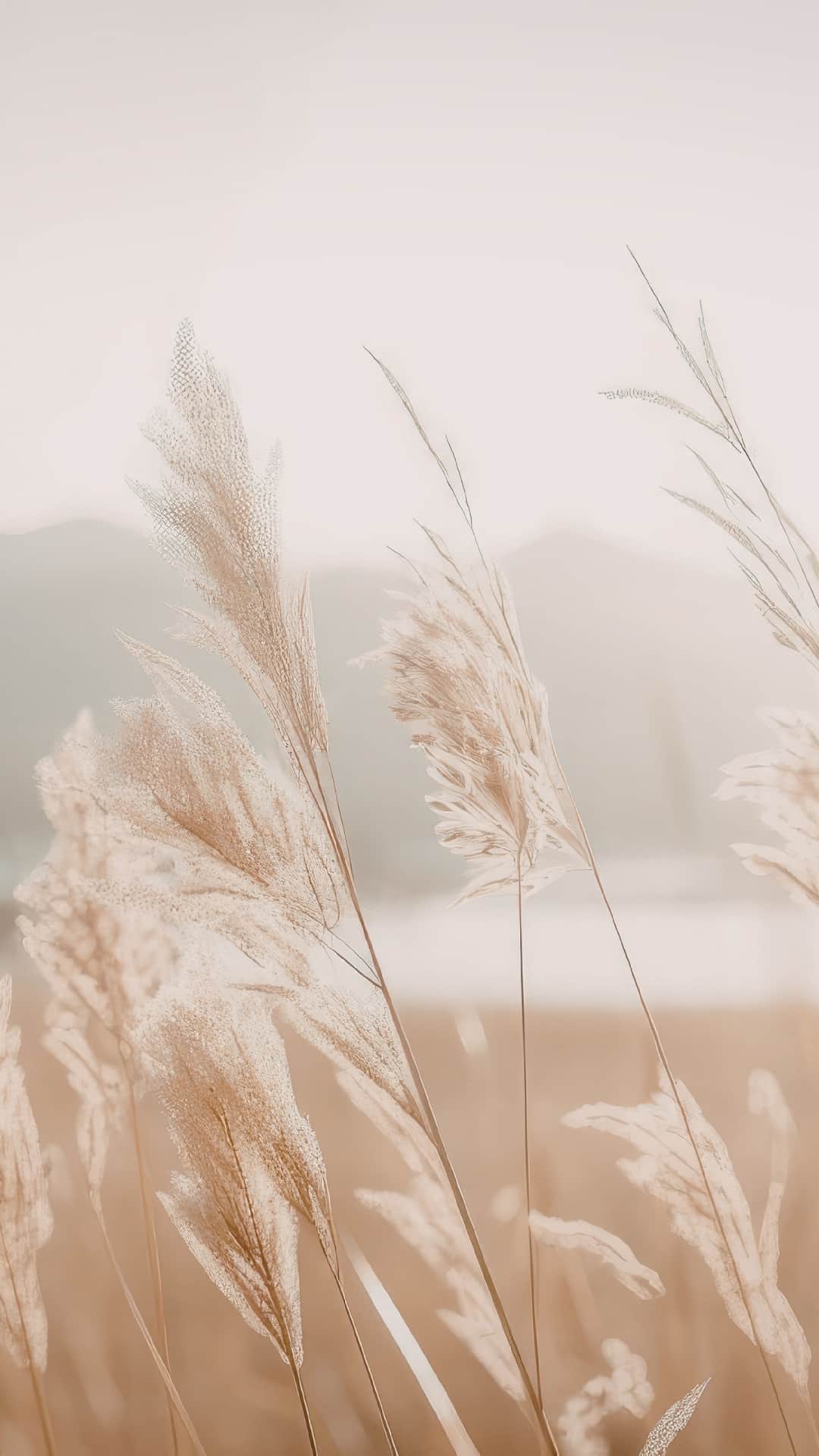 Nyugodt, napfényes táj aranyló fűszálakkal és elmosódott hegyekkel, a belső lelassulás és jelenlét hangulatával.