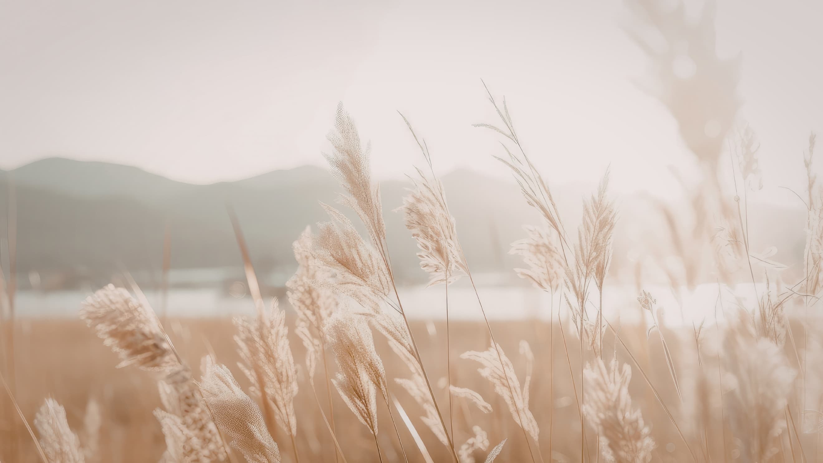 Nyugodt, napfényes táj aranyló fűszálakkal és elmosódott hegyekkel, a belső lelassulás és jelenlét hangulatával.