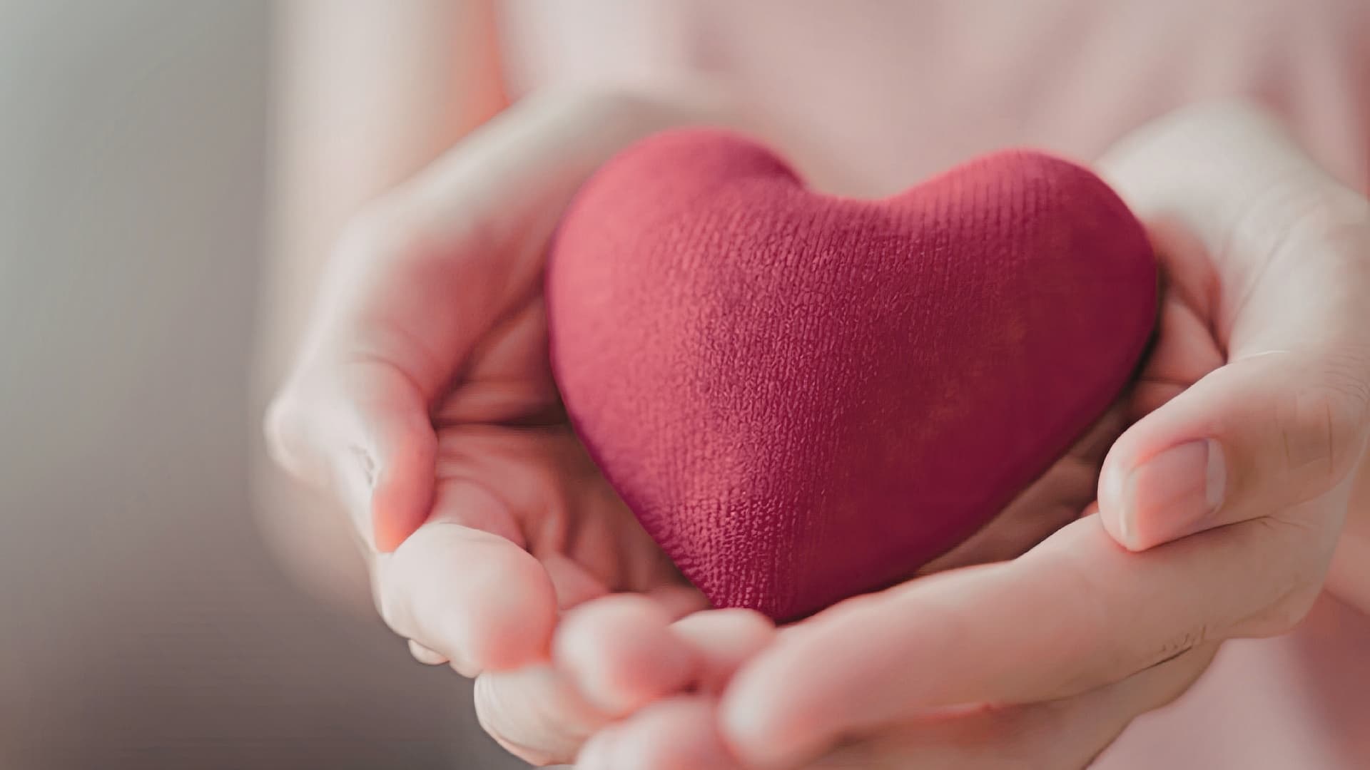 Egy piros szív két kézben tartva